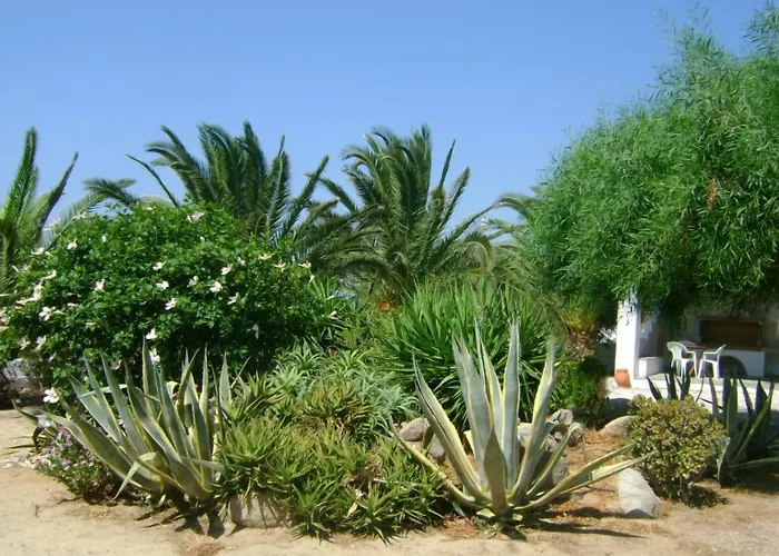 Zanneta Apartments&suites Appart hôtel Mikri Vigla